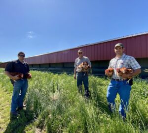 Farmers holding hens