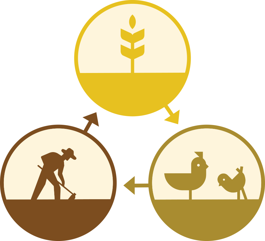 Farm Cycle icon