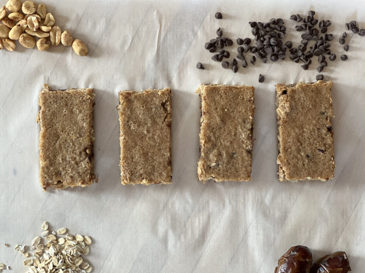 Homemade Protein Bars (RX Bar Inspired)