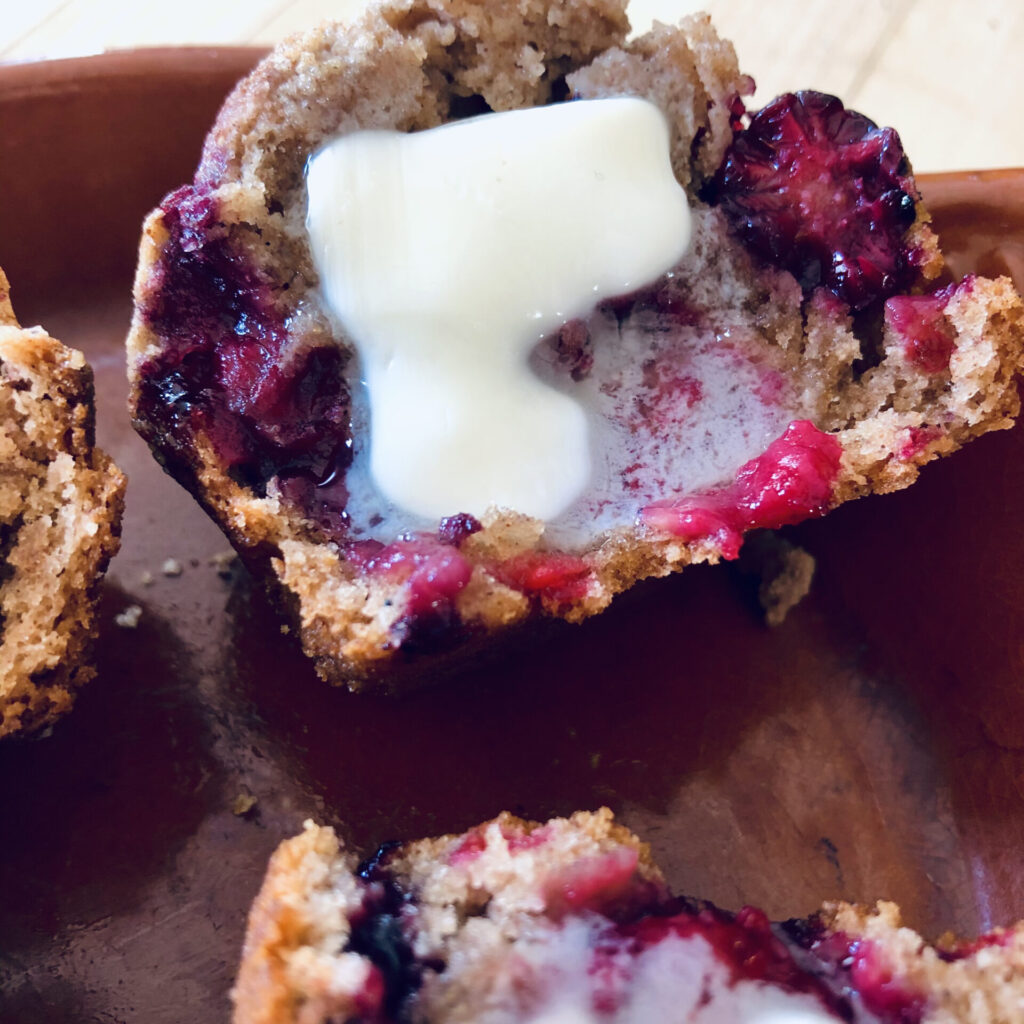 Blueberry Muffins 2 Blueberry Muffin Recipe
