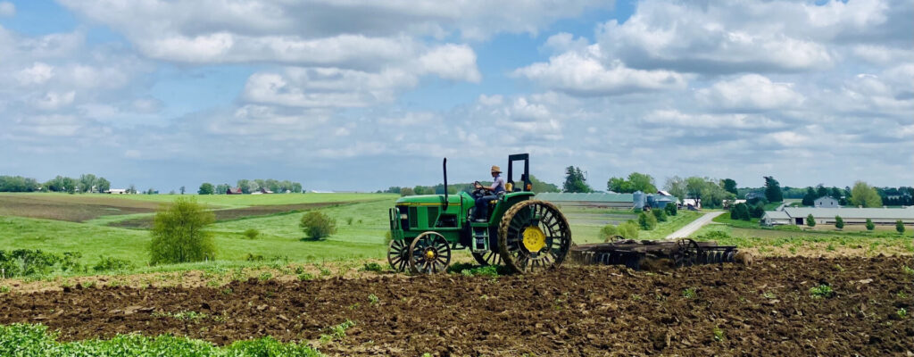 Amish organic farming