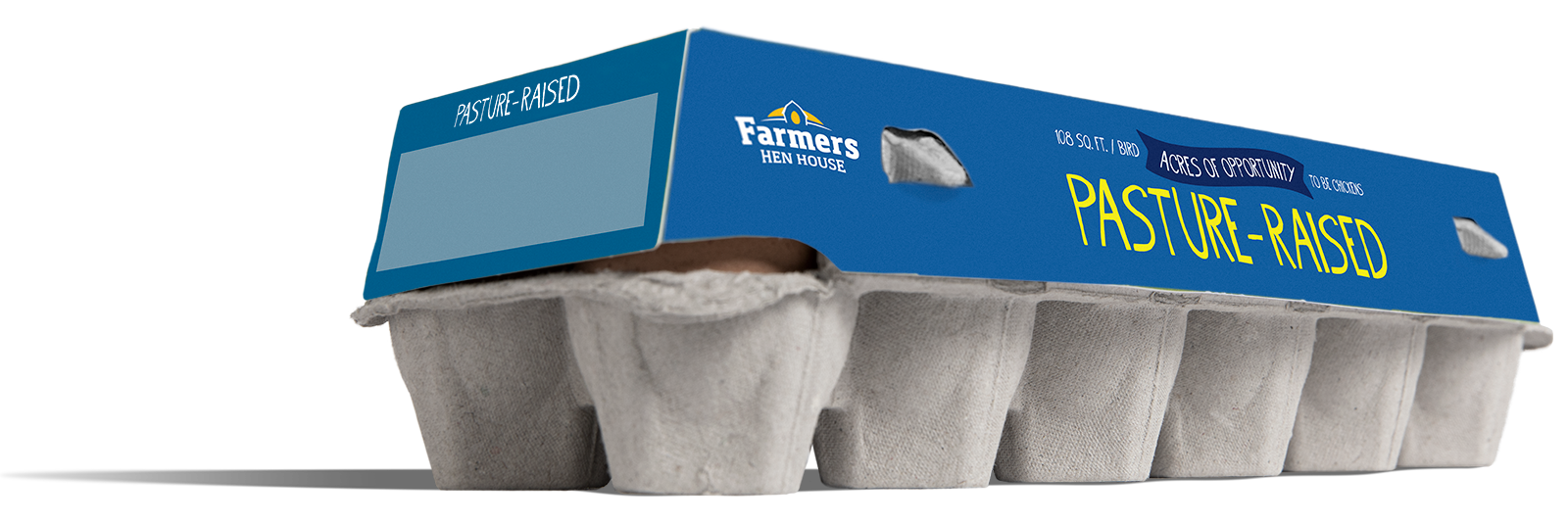 Pasture-Raised Eggs 1 farmers hen house pasture raised dynamic