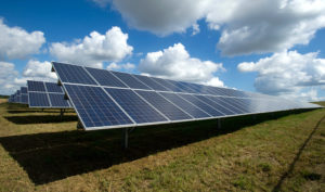 Solar panels for egg processing plant